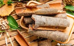 Medicinal Value and Efficacy of Cinnamon