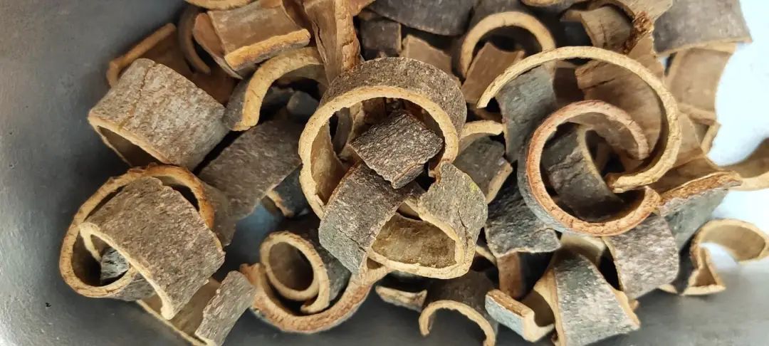 Comprehensive Guide to Cinnamon: Effects and Functions