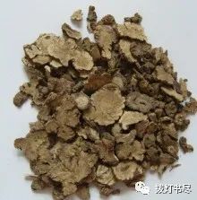 Chuanxiong (Ligusticum chuanxiong) - A Comprehensive Overview