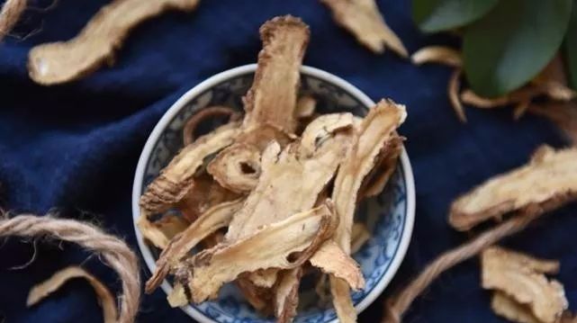 The Numerous Benefits of Angelica Sinensis for Women: Essential for This Group!