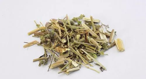A Classic Formula of Two Herbs for Treating Both Wind-Heat and Wind-Cold Colds