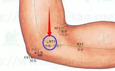 47 Unique Acupuncture Points Worth Seeing! (Collector's Edition)