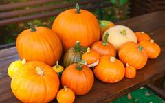 20 Vegetarian Foods for Blood Nourishment