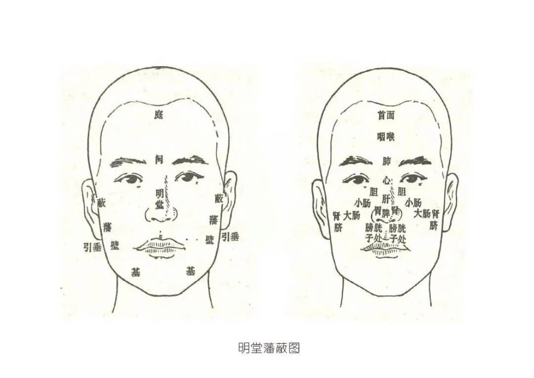Observational Diagnosis in Traditional Chinese Medicine
