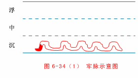 The Twenty-Eight Pulses and All Pulse Patterns in Traditional Chinese Medicine (Animated Illustrations)