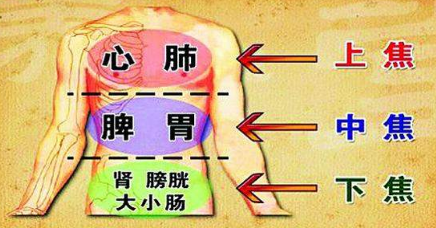 Three Methods to Eliminate Dampness in Traditional Chinese Medicine