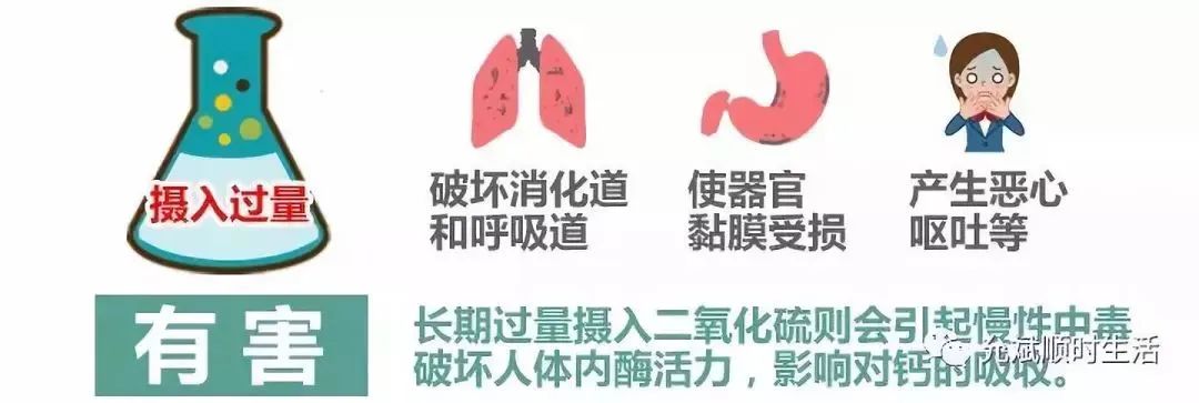 Dang Shen: The "Little Ginseng" for Nourishing Qi and Blood