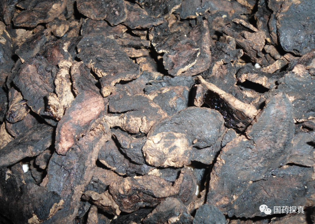 The Price Discrepancy Between Cooked and Raw Rehmannia: What’s the Reason?