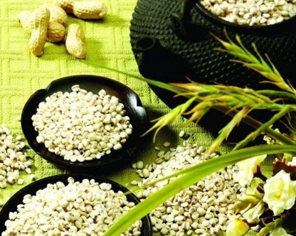 Learn About a Chinese Herb Every Day - Coix Seed (Yì Yǐ Rén)