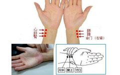 Illustrated Guide to 28 Dynamic Pulse Diagnoses in Traditional Chinese Medicine