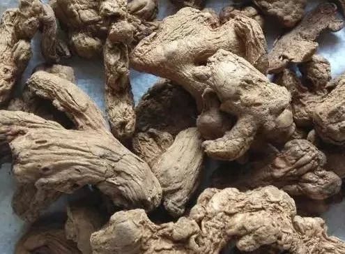 Misconception! Dried Ginger is Not Simply Sun-Dried Fresh Ginger