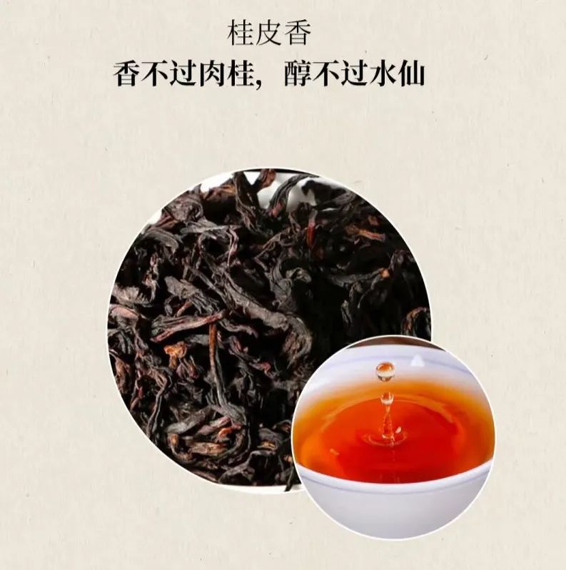 The Aroma of Wuyi Rock Tea Begins with Cinnamon