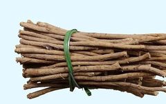 Traditional Chinese Medicine Overview - Astragalus
