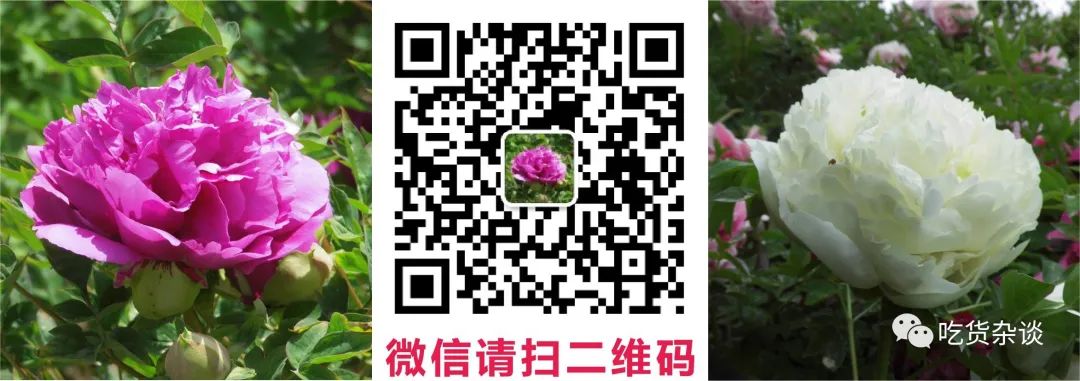 Understanding Liver Qi Stagnation: A Traditional Chinese Medicine Perspective