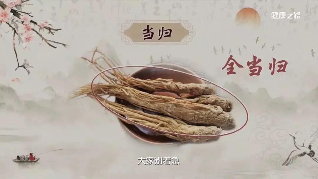 The Efficacy of Angelica Sinensis: Understanding the Differences Between Its Body and Tail for Targeted Treatment