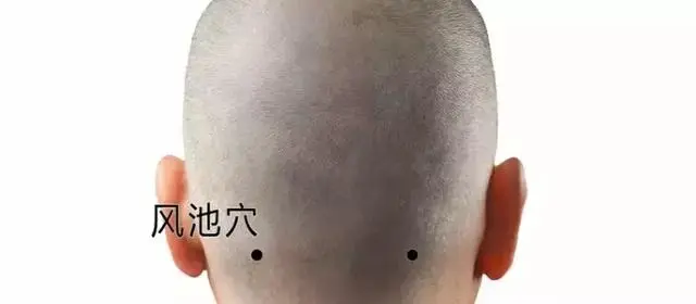 57 Practical Acupuncture Points Everyone Can Use