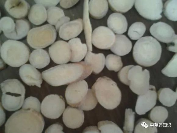 Traditional Chinese Medicine Herb: Bai Shao (White Peony)