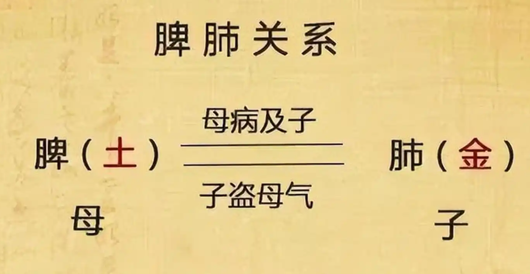 Relieving Rhinitis and Sinusitis with Traditional Chinese Medicine: A Case Study