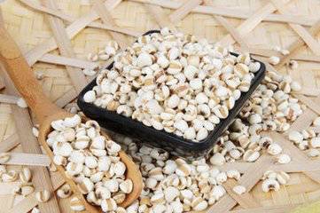The Culinary and Medicinal Value of Coix Seed (Yi Yi Ren)