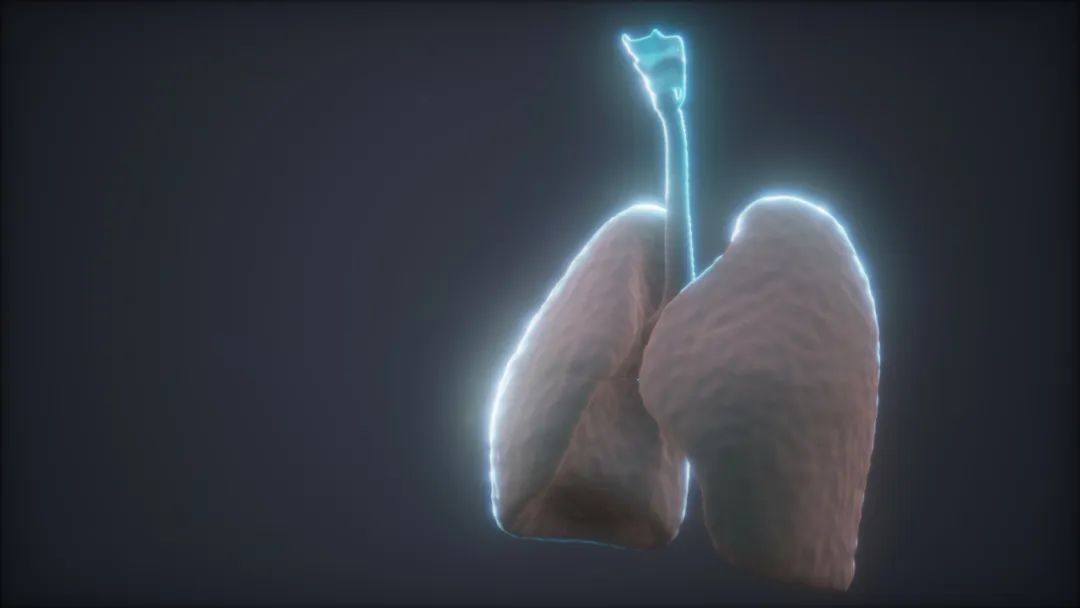 The 'Golden Decoction' for Treating Lung Cancer: Inhibiting Lung Tumor Growth with Efficacy Comparable to Chemotherapy