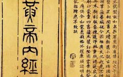 Overview of the Huangdi Neijing