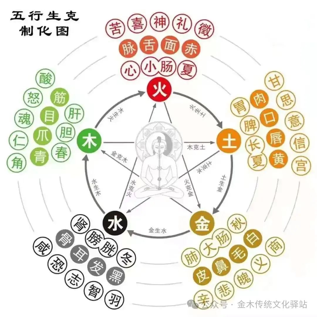 The Huangdi Neijing and the Five Movements and Six Qi