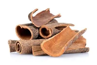 The Efficacy and Functions of Cinnamon in Traditional Chinese Medicine