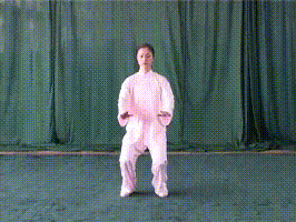 Essentials of Tai Chi Chuan's Overall Movements