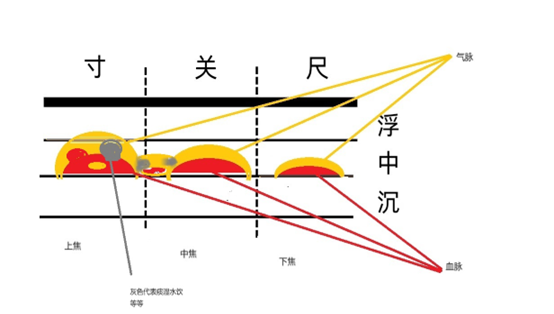 Understanding the Slippery Pulse in Traditional Chinese Medicine