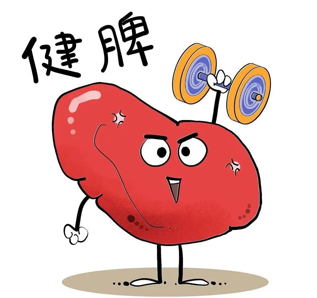The Five Organs' Favorite Health Movements! Do This Once Daily to Strengthen Your Heart, Liver, Spleen, Lungs, and Kidneys, Reducing Illness!