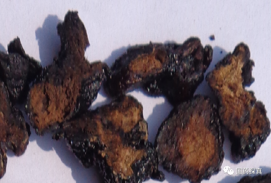 An Overview of Abnormal Phenomena in Cooked Rehmannia