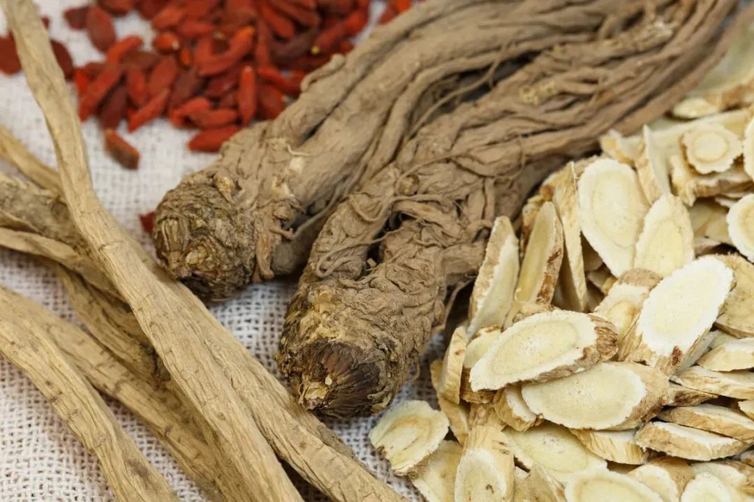 The Medicinal and Nutritional Benefits of Dang Shen (Codonopsis pilosula)