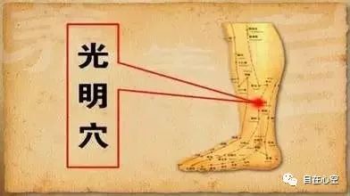 The Fifteen Collaterals in Traditional Chinese Medicine