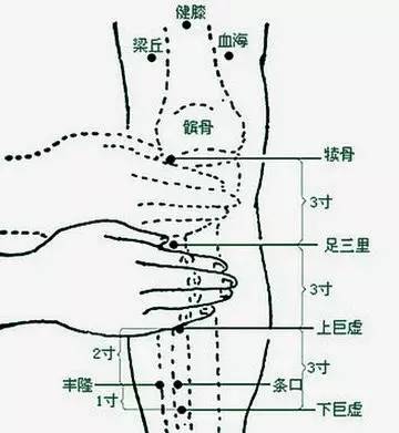 The 12 Essential Acupuncture Points for Treating Various Ailments!