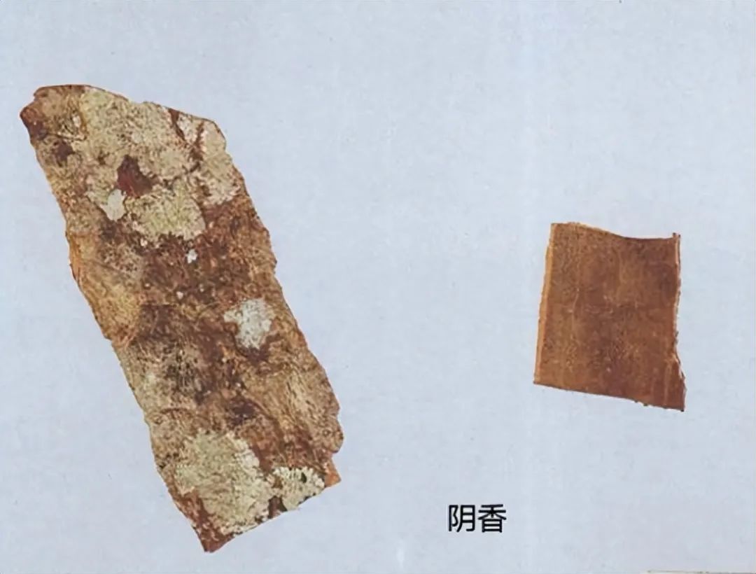 Identification of Cinnamon in Traditional Chinese Medicine