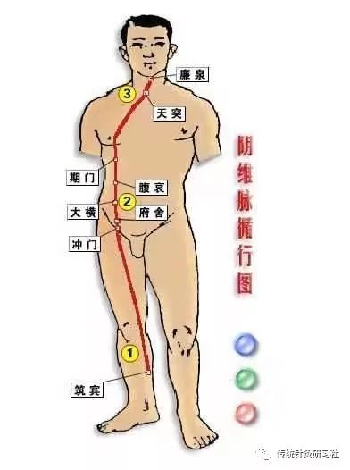 Diagram of the Eight Extraordinary Meridians in Traditional Chinese Medicine