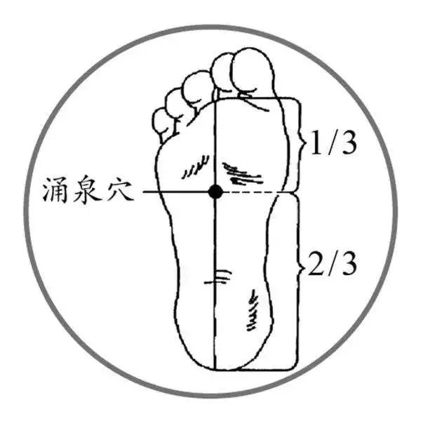 Identification of TCM Constitution - Harmonious Constitution