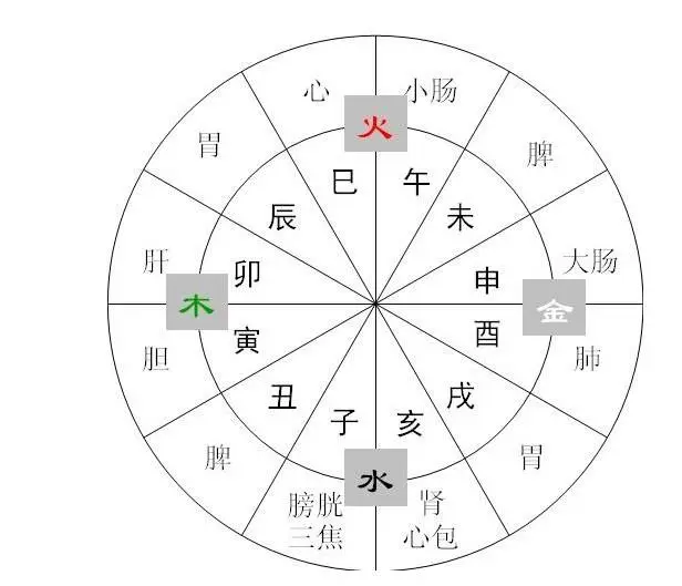 Health Tips | Eight Aspects of Traditional Chinese Medicine to Regulate Yin-Yang Balance