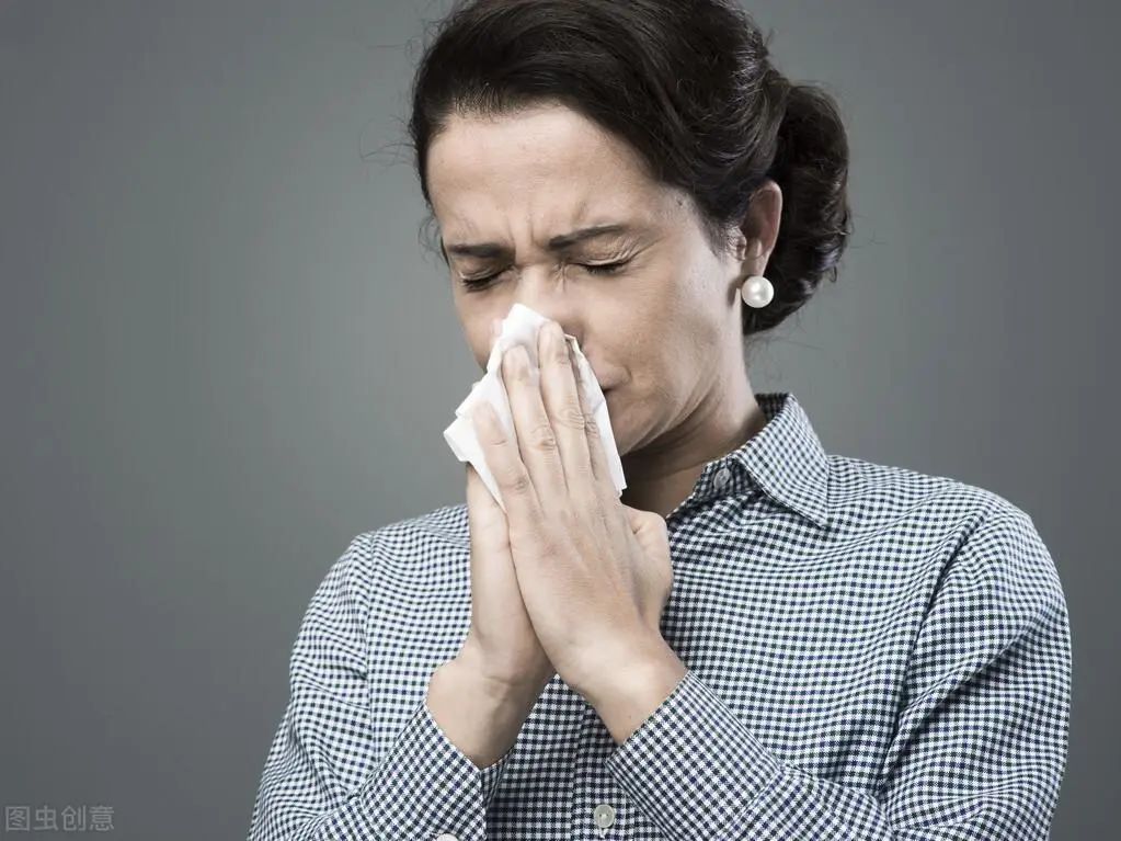 What Are the Benefits of Angelica Sinensis? What Are the Dietary Contraindications?