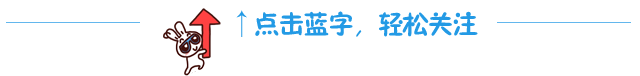 The Efficacy and Functions of Codonopsis (Dang Shen)