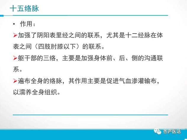Discussing the Theory of Meridians in Traditional Chinese Medicine - Collaterals, Tendons, and Skin Areas