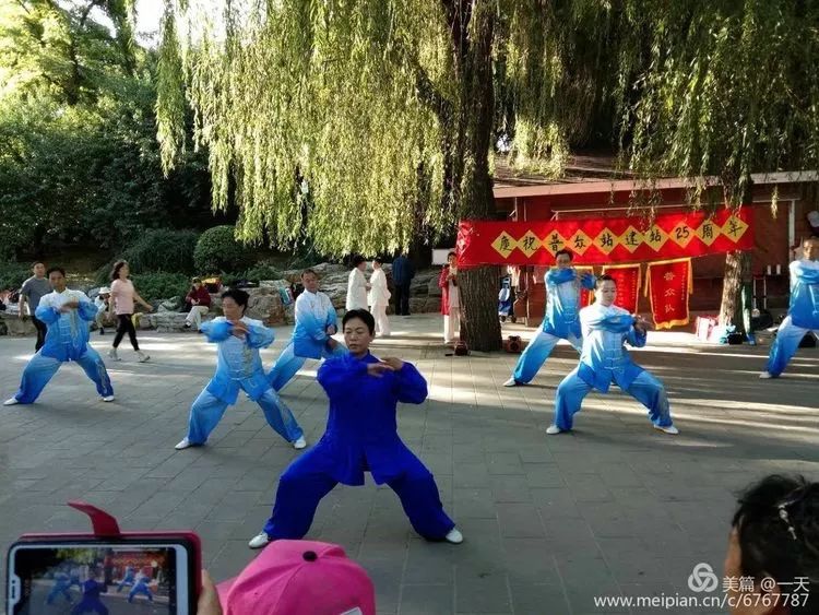 Removing the Veil of 'Tai Chi Fitness': Understanding the Truth Behind the Imminent Loss of Tai Chi