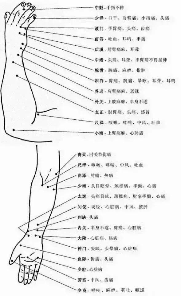 Comprehensive Explanation of Human Acupuncture Points and Their Effects: A Must-Read for Acupuncture Students!