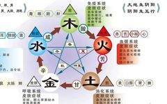 The Best Explanation of the Five Elements in Traditional Chinese Medicine