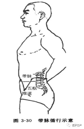 Acupuncture: The Eight Extraordinary Meridians - The Dai Mai