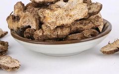 Traditional Chinese Medicine: Essential Knowledge About Cang Zhu (Atractylodes)