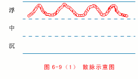 The Twenty-Eight Pulses and All Pulse Patterns in Traditional Chinese Medicine (Animated Illustrations)