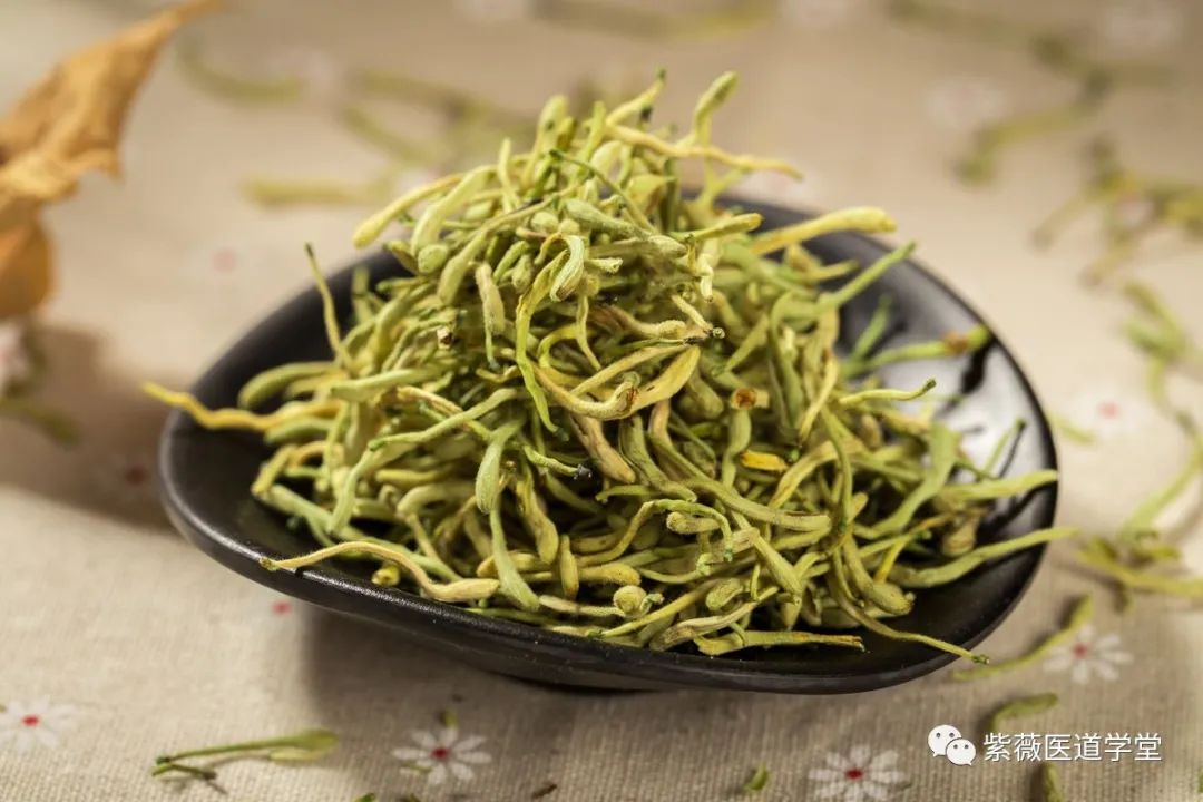 Guide to the Use of Honeysuckle (Jin Yin Hua)