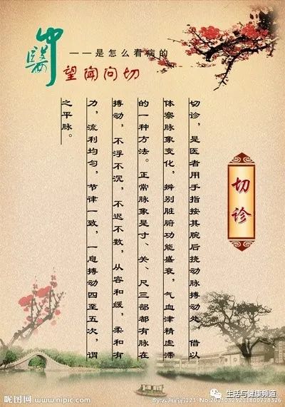 Foundations of Traditional Chinese Medicine: Understanding Xu and Shi