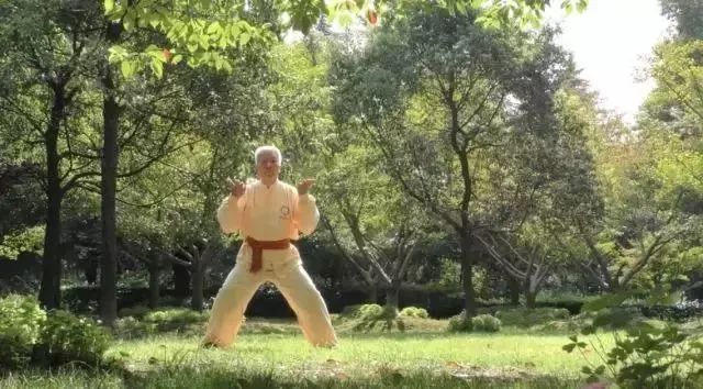 Simple and Easy to Learn! Illustrated Guide to the Twelve Movements of the Ancient Yi Jin Jing (Includes Video)